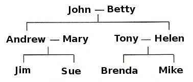 Drzewo genealogiczne po angielsku